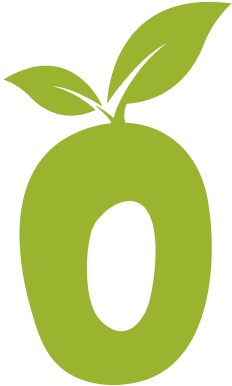 ZAMIA furfuracea Cardboard Palm | SDS x 1000